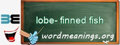 WordMeaning blackboard for lobe-finned fish